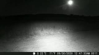 Gettysburg Ghost Wheatfield hidden camera [upl. by Drofnelg293]