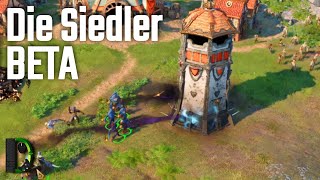 Die Siedler Beta 2022 mit Volcaniced [upl. by Athelstan]