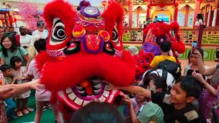 Kwong Ngai 马来西亚光艺龙狮体育会 Traditional Lion Dance at The Curve Shopping Center Mutiara Damansara [upl. by Able159]