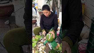 Vietnamese Woman Selling Tropical Fruit Pomelos  Fruit Cutting Skills [upl. by Daniala]