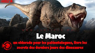 Le Maroc un eldorado pour les paléontologues livre les secrets des derniers jours des dinosaures [upl. by Akkim]