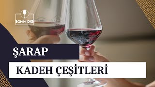 ŞARAP KADEH ÇEŞİTLERİ Sommelier Şarap [upl. by Groveman]