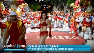 SANPEDRODEJUJUYCOM  Carnaval de las Yungas 2014 3 [upl. by Ahseenal]