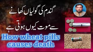 How Wheats Pills causes death in human being [upl. by Warfourd]