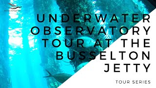 Busselton Jetty Tour Series Underwater Observatory Tour [upl. by Anitsirc]