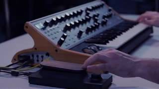 Expressive E Touche with Moog Subsequent 37 [upl. by Furr]