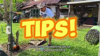 Manok Mo Panalo Mo  The Ultimate Guide to Feeding and Hydrating Your Gamefowl for Victory [upl. by Atniuq705]