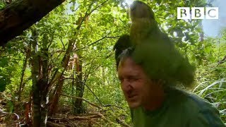 Shagged by a rare parrot  Last Chance To See  BBC [upl. by Dicks]