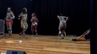 Maureen Mulheron  Australian Aboriginal  Willie Wagtail Dance [upl. by Aisyat]