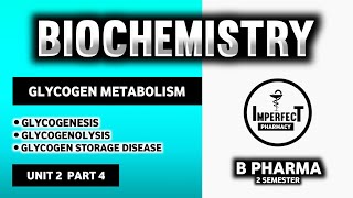 Glycogen Metabolism Pathway  Glycogenesis  Glycogenolysis  Glycogen Storage Disease  B Pharma [upl. by Kreit]