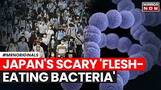 Japan News  Japan Reports Sharp Spike In FleshEating Bacteria Infection That Kills Within 48 Hours [upl. by Kellene]