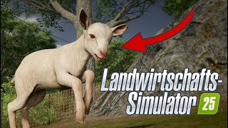 LS25 🚜 JUNGTIERE und WIRBELSTÜRME im Landwirtschafts Simulator 25 🔥 │ Farming Simulator 25 [upl. by Pepillo]