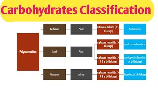 Carbohydrates Classification Clinical significance of different carbohydrates [upl. by Sabra]