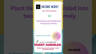 Decode Anatomy Of Flowering Plant  NCERT AUDIBLES  NEET Preparation NEETBiology BiologyShorts [upl. by Holbrook]