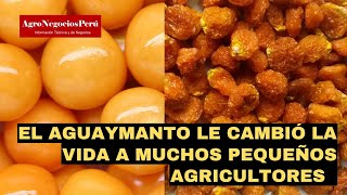 Perú líder en exportación de aguaymanto deshidratado orgánico de la región [upl. by Candide]