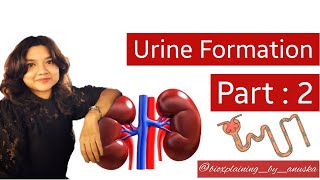 Urine Formation Part 2  Ultrafiltration  Selective Reabsorption  Tubular Secretion Micturition [upl. by Malinde]