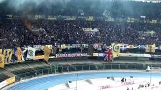 hellas verona vs napoli curva sud universita del tifo [upl. by Anselma]