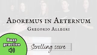 Adoremus in Aeternum  Allegri  Bass practice with score [upl. by Waverley]