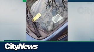 Are all illegally parked vehicles given equal treatment One Toronto man says no [upl. by Smallman]