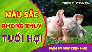 Tuổi Hợi hợp màu gì năm 2024 kỵ màu gì nhất ý nghĩa màu sắc hợp phong thuỷ tuổi Hợi [upl. by Kenweigh]