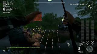 Fishing Planet  Neherrin  Redfin Pickerel Trophy [upl. by O'Toole184]