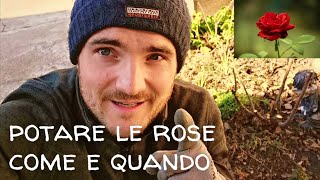 POTARE LA ROSA  COME E QUANDO [upl. by Nelyag]