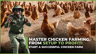 Start a Successful Chicken Farm Essential Tips amp Overcoming Common Problems [upl. by Annora]