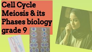 Meiosis and its phases  stages of meiosis  biology grade 9  homologous chromosomes  Chiasmata [upl. by Sset579]