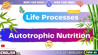 What is Autotrophic Nutrition  English  Class 10  Science  Biology  Chapter 1  Life Process [upl. by Fayina]