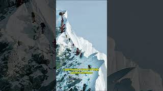 The Collapse at Hillary Step Tragedy Strikes Everest 2024 everest [upl. by Miehar590]