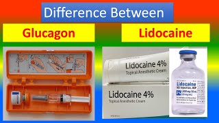 Difference Between Difference Between Glucagon and Lidocaine [upl. by Asiram]