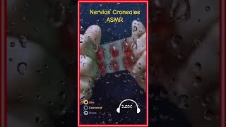 Nervios craneales ASMR asmr [upl. by Silas]