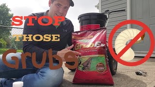 How To Prevent Grubs and Sod Webworm From Destroying Your Lawn [upl. by Thoma]