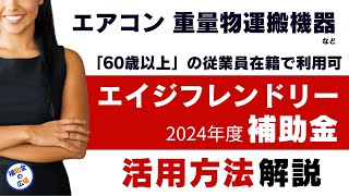 最大100万円 補助金でエアコンからパワーアシストスーツまでシルバー人材の職場環境改善に役立つツールの購入費用を国が支援｜エイジフレンドリー補助金2024年度版を解説｜補助金の広場【公式】 [upl. by Mloc]