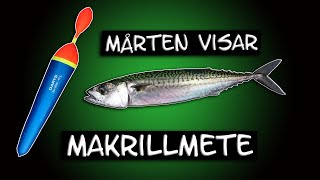 Mårten visar  makrillmete i Öresund [upl. by Stoops]