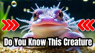 Axolotls Amazing Facts About This Unique Sea Creature [upl. by Lennor]