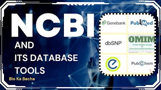 what is NCBI and its databases tools  genbank  pubchem  pubmed entrez  nucseq  peptide seq [upl. by Ydnic]