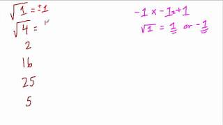 Positive and Negative Square Roots [upl. by Akiehsal]