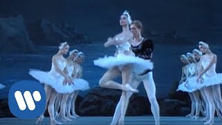 Tchaikovsky Swan Lake  The Kirov Ballet [upl. by Aromas]