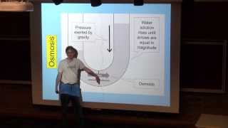 Osmosis and Osmotic Pressure [upl. by Martsen]