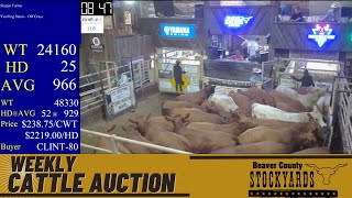 862024  Beaver County Stockyards Weekly Cattle Auction [upl. by Ocihc472]