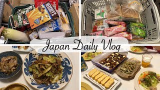 my cozy housewife daily life in japan  grocery shopping trips make dinners [upl. by Nivri]