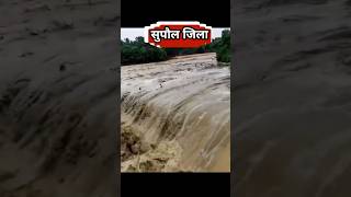 सुपौल में अचानक आया बाढ़ का तूफानsupaul saharsa araria flood news biharflood kosinadi [upl. by Fritzie950]