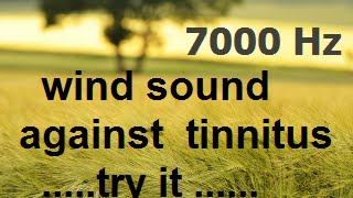 One hour wind at 7000 Hz as sound therapy for tinnitus [upl. by Hairej]