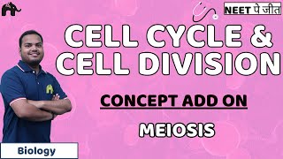 Cell Cycle and Cell Division Class 11 Biology NEET  Meiosis [upl. by Bennie]