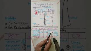 Functions of Tubules of Nephron In One Minute NEET  Biology [upl. by Eceinert]