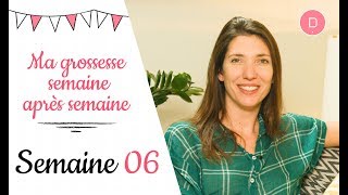 6ème semaine de grossesse – L’alimentation [upl. by Hsur]