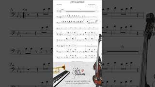 DIEZ LAGRIMAS HERMANOS LEBRON Sheet Music Orchestra [upl. by Ashton]