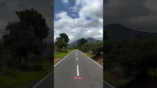 Mudumalai Tiger reserveKarnatakaTravelTravelgram shorts travel reels nature rider trending [upl. by Ahsiekel]