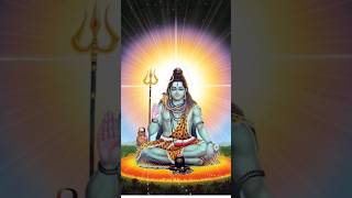 shiv shankar damru walemahakaaleshwarmahakalviralvideotrendingshorts [upl. by Ocsicnarf]